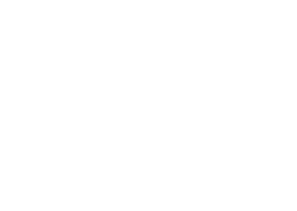 Wileyx Logo