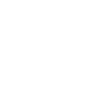 Vertx Pro logo